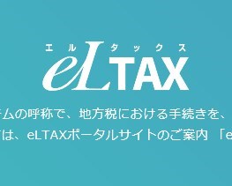 共通納税の 納付 納入金額入力 画面で 文字入力がひっかかる